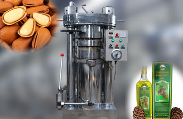 Pine Nut Oil Press